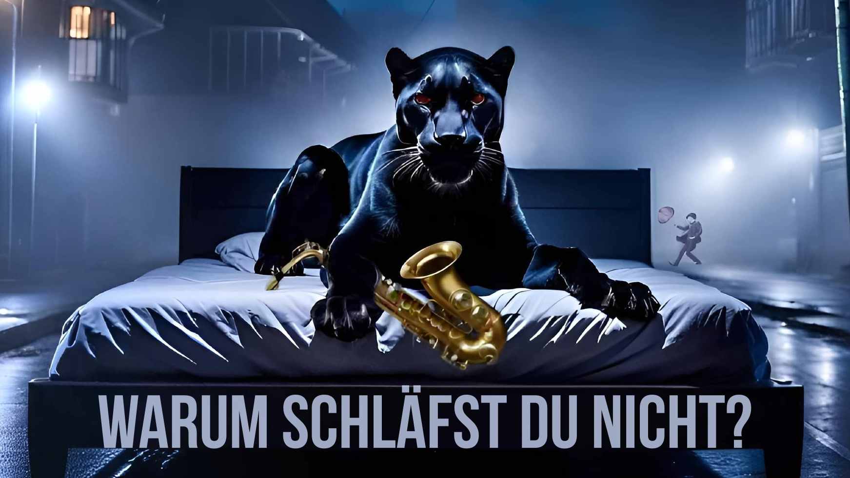 Cover Warum schläfst du nicht, zeigt einen schwarzen Panther auf einem Bett, das auf einer nächtlichen Straße steht