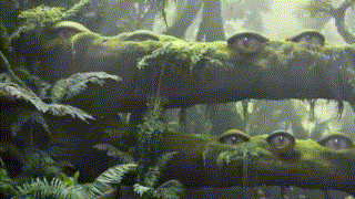 zeigt einen Dschungel, aus dem Augen herausblinzeln